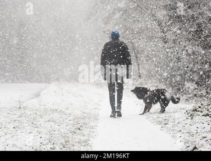 Kidderminster, Großbritannien. 11.. Dezember 2022. Wetter in Großbritannien: Schnee trifft die Midlands! Sonntagsspaziergänge werden von einem schweren Schneesturm begleitet. Eine Hundebesitzerin, eingewickelt in einen warmen Mantel, Hut und Handschuhe, trotzt der Kälte, wenn sie ihren Hund Max, einen Collie Cross, auf dem Pfad entlang eines gefrorenen Worcestershire-Kanals herumführt. Kredit: Lee Hudson/Alamy Live News Stockfoto