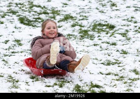 Chippenham, Wiltshire, Großbritannien, 11.. Dezember 2022. Als die Bewohner von Chippenham mit ihrem ersten Schnee des Jahres aufwachen, wird ein junges Mädchen in einem lokalen Park in Chippenham vorgestellt, während sie auf einem Schlitten einen Hügel hinuntergleitet. Kredit: Lynchpics/Alamy Live News Stockfoto