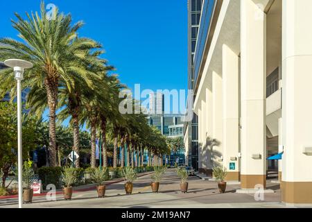 Anaheim, CA, USA – 3. November 2022: Große Topfpflanzen wurden als Straßenbarrikade im Anaheim Convention Center in Anaheim, Kalifornien, genutzt. Stockfoto