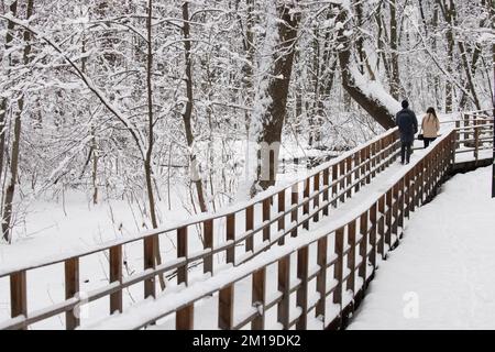 Moskau, Russland. 11. Dezember 2022. Die Leute gehen an einem verschneiten Tag im Stadtzentrum nach dem nächtlichen Schneefall in Moskau durch den Park. Kredit: Molakaliva/Alamy Live News Stockfoto