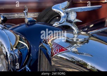 Alvis Eagle Hood Maskottchen Stockfoto