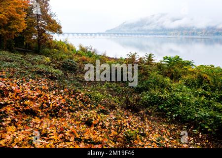 Herbstblick über die Rockville Bridge am Susquehanna River in der Nähe von Harrisburg, Pennsylvania, USA; Eisenbahnbrücke; Die längste Steinbogenbrücke der Welt. Stockfoto