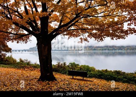 Herbstblick über die Rockville Bridge am Susquehanna River in der Nähe von Harrisburg, Pennsylvania, USA; Eisenbahnbrücke; Die längste Steinbogenbrücke der Welt. Stockfoto