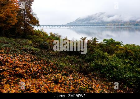 Herbstblick über die Rockville Bridge am Susquehanna River in der Nähe von Harrisburg, Pennsylvania, USA; Eisenbahnbrücke; Die längste Steinbogenbrücke der Welt. Stockfoto