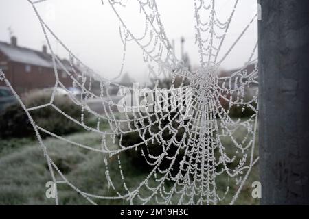 Nahaufnahme eines Frozen Frosty Spiders Cobweb an einem Misty Dew Morning Stockfoto