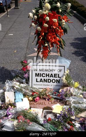 Michael Landon wurde am Tag seines Todes am 1. Juli 1991 auf dem Hollywood Walk of Fame geehrt. Kredit: Ralph Dominguez/MediaPunch Stockfoto