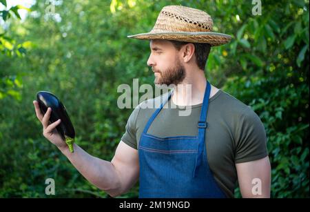 Gemüsehändler im Strohhut mit Auberginengemüse Stockfoto