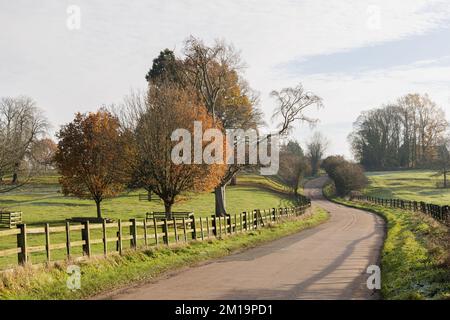 Watford Park, Watford, Northamptonshire, Großbritannien: Im Spätherbst windet sich eine verlassene, enge Landstraße zwischen Holzzäunen bergauf. Stockfoto