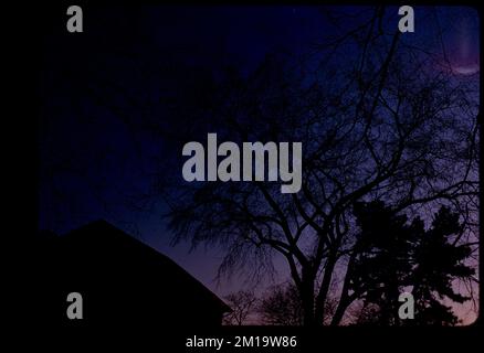 Bäume und Dach, Silhouette gegen Dämmerung oder Morgengrauen, Bäume, Dächer. Edmund L. Mitchell Kollektion Stockfoto