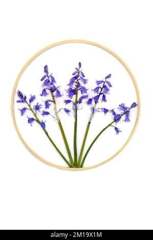 Bluebell Wildblumen abstraktes Design-Symbol mit rundem Kranzrahmen aus Holz. Frühlingsdesign mit Naturblumenlogo auf weißem Hintergrund. Stockfoto