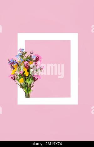 Frühlingsblumen-Pose, weißer Rahmen auf pinkfarbenem Hintergrund. Minimale abstrakte Grenznaturzusammensetzung für Valentinstag, Muttertag, Ostern, Geburtstag. Stockfoto