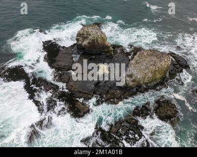 Luftaufnahme des malerischen Vogelfelsens in Punta de Lobos in Pichilemu, Chile Stockfoto