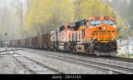 Skykomish, WA, USA - 26. April 2022; BNSF-Leerkohlezug im strömenden Regen in den Cascade Mountains Stockfoto