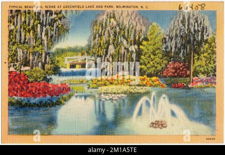 Typische schöne Landschaft am Greenfield Lake and Park, Wilmington, N. C., Lakes & Ponds, Parks, Tichnor Brothers Collection, Postkarten der Vereinigten Staaten Stockfoto