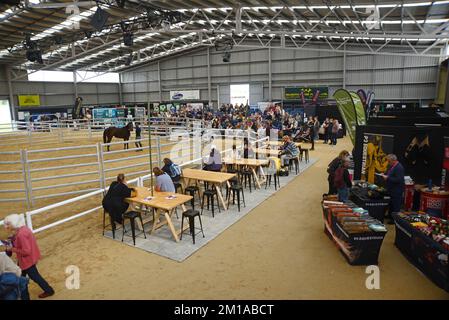 CHRISTCHURCH, NEUSEELAND, 9. DEZEMBER 2022, Massen versammeln sich, um die Reitvorführungen im Equifest in Christchurch, Neuseeland, zu sehen und zu hören Stockfoto