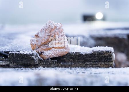 London UK 10 . Dezember 2022 . Wetter in Großbritannien. Der Londoner Park ist heute mit hartem Frost bedeckt, während Weihnachtseinkäufer ihre Geschäfte im Nebel erledigen, während der brutale arktische Frost die Temperaturen in der Nähe des Dorfes Blackheath im Südosten Londons, England, erhöht. Kredit: Glosszoom/Alamy Live News Stockfoto