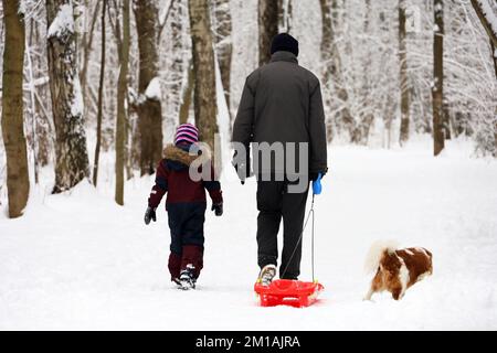 Familienurlaub im Winterpark. Kind, Mann mit Schlitten und Hund, der auf einem Schnee läuft Stockfoto