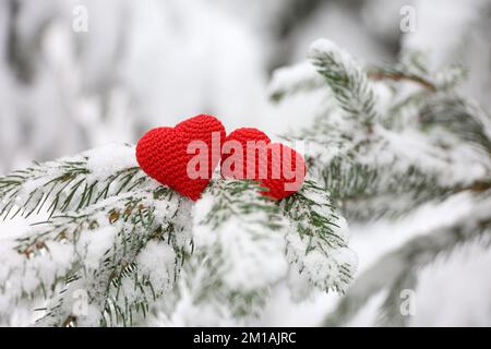 Zwei gestrickte Liebesherzen auf Tannenzweigen, die im Winterwald mit Schnee bedeckt sind. Konzept der Weihnachtsfeier oder des Valentinstages Stockfoto