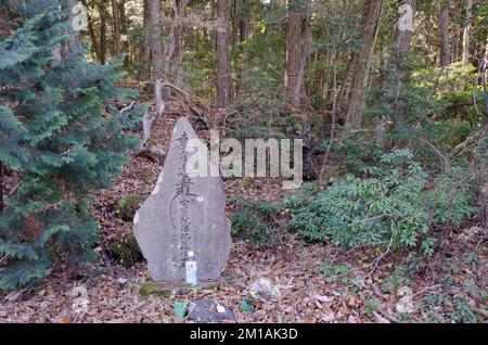 Felsen mit japanischen Inschriften. Präfektur Yamanashi. Fuji-Hakone-Izu-Nationalpark. Honshu. Japan. Stockfoto