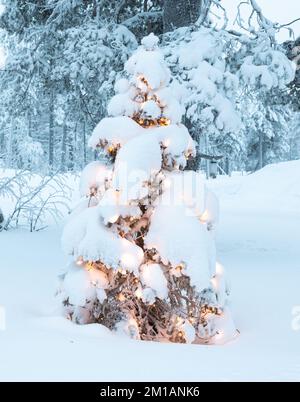 Verschneiter Tannenbaum, dekoriert mit Weihnachtslichtern im Garten. Stockfoto