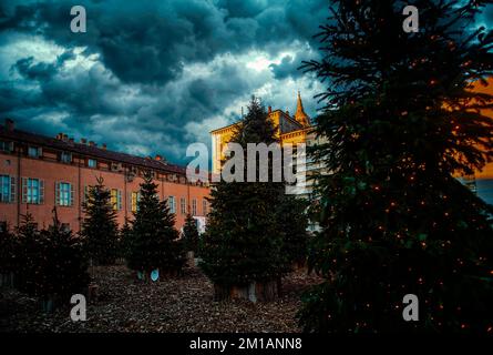 Turin, Italien. 11.. Dezember 2022. Italien Piemont Turin Weihnachtsbäume auf der Piazza Castello Credit: Realy Easy Star/Alamy Live News Stockfoto