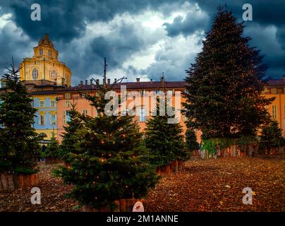 Turin, Italien. 11.. Dezember 2022. Italien Piemont Turin Weihnachtsbäume auf der Piazza Castello Credit: Realy Easy Star/Alamy Live News Stockfoto