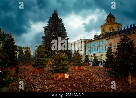 Turin, Italien. 11.. Dezember 2022. Italien Piemont Turin Weihnachtsbäume auf der Piazza Castello Credit: Realy Easy Star/Alamy Live News Stockfoto