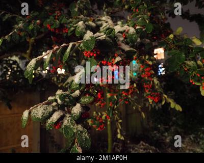 Sheerness, Kent, Großbritannien. 11.. Dezember 2022. In Sheerness, Kent, fällt heute Abend Schnee. Kredit: James Bell/Alamy Live News Stockfoto