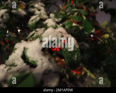 Sheerness, Kent, Großbritannien. 11.. Dezember 2022. In Sheerness, Kent, fällt heute Abend Schnee. Kredit: James Bell/Alamy Live News Stockfoto