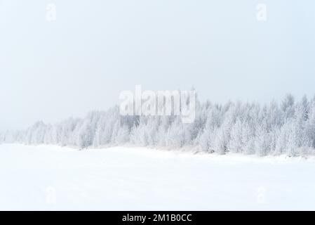 Feld und Bäume mit Schnee bedeckt. Wunderschöne Winterlandschaft Stockfoto