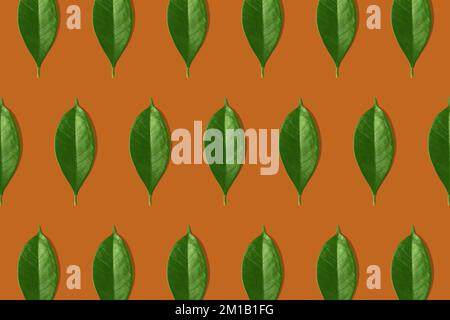 Kreatives nahtloses Muster aus grünen Blättern auf orangefarbenem Hintergrund. Kreatives Design im flachen Lay-Stil. Draufsicht. Modell. Stockfoto