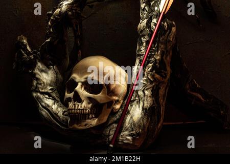 Menschlicher Schädel und alter Holzzweig. Schädel und Pfeil. Stille Leben in einem unauffälligen Zustand mit einem Schädel. Komposition mit Schädel und Pfeil. Stockfoto