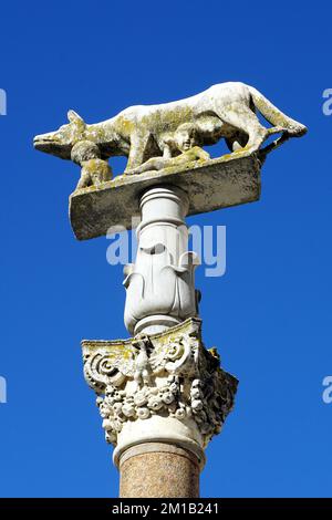 Statua della Lupa con i gemelli, Wolfsstatue mit den Zwillingen, Siena, Toskana, Italien, Europa Stockfoto