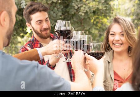 Fröhliche Freunde, die draußen auf dem Land Gläser Rotwein trinken - multiethnische Leute, die gemeinsam Spaß auf dem Weingut haben Stockfoto
