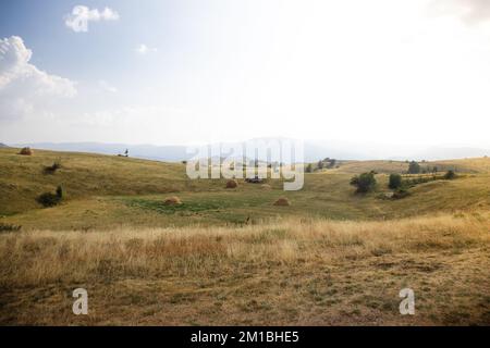 Ein malerischer Blick auf ein riesiges Herbstfeld auf dem Land an einem sonnigen Tag Stockfoto