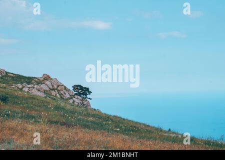 Braune Hügel und Landzungen. Stockfoto