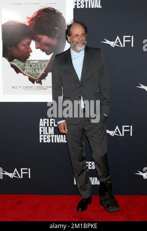 AFI Fest - Bones and All Special Screeningat TCL Chinese Theater IMAX am 5. November 2022 in Los Angeles, CA mit Luca Guadagnino wo: Los Angeles, Kalifornien, USA Wenn: 06. November 2022 Guthaben: Nicky Nelson/WENN Stockfoto