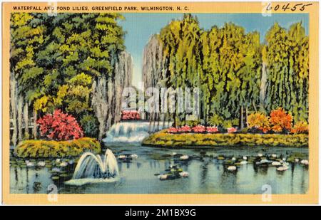 Waterfall and Pond Lilies, Greenfield Park, Wilmington, N. C. , Parks, Tichnor Brothers Collection, Postkarten der Vereinigten Staaten Stockfoto