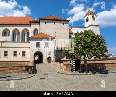 Burg Špilberk, Denkmal der Stadt Brünn mit einem rosa Kastanienbaum im Vordergrund, Mähren, Tschechische Republik Stockfoto