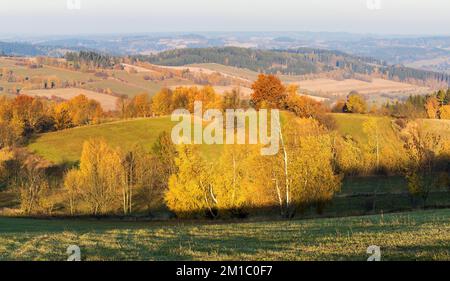 Herbstpanorama vom Bohemian und mährischen Hochland, Blick vom Dorf Konikov Vecov, Zdarske vrchy, Tschechische Republik Stockfoto