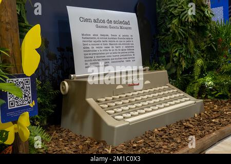 Riesige Schreibmaschine auf Holzspänen, Vegetation im Hintergrund mexiko Stockfoto