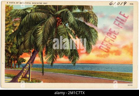 Eine aussicht auf die wunderschöne Biscayne Bay, Häfen, Tichnor Brothers Collection, Postkarten der Vereinigten Staaten Stockfoto