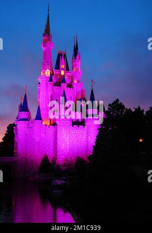 Cinderellas Schloss leuchtet in Disney World violett vor dem Abendhimmel Stockfoto