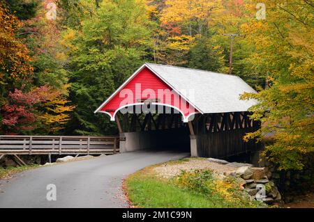 Eine malerische, von Herbstlaub und Blättern überdachte Brücke in New England Stockfoto