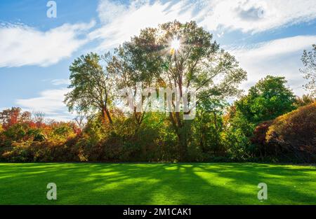 Die Sonne scheint durch Bäume mit bunten Herbstblättern und zeichnet Schatten auf einem grünen Feld. Cold Spring Park, Newton, MA, USA. Stockfoto