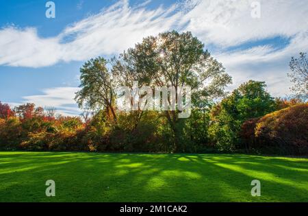 Die Sonne scheint durch Bäume mit bunten Herbstblättern und zeichnet Schatten auf einem grünen Feld. Cold Spring Park, Newton, MA, USA. Stockfoto