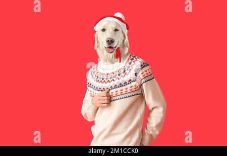 Mann mit Hundeleiter und Pullover und Weihnachtsmannmütze auf rotem Hintergrund Stockfoto