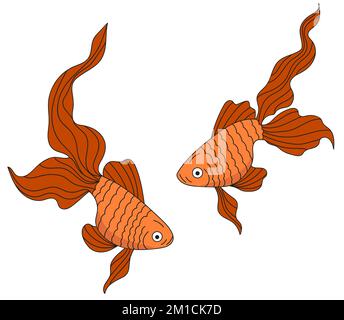 Goldfisch-Illustration. Meeresbewohner fischen Ikonen. Zwei orangefarbene Fische auf weißem Hintergrund. Stock Vektor