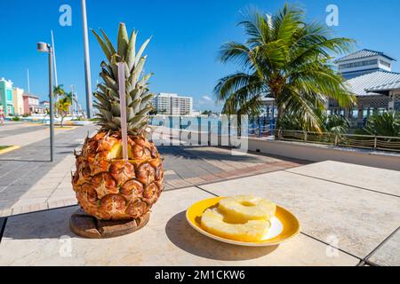 Frischer Pina Colada Cocktail in Ananas auf dem Tisch vor dem Hintergrund des Seehafens in Cuba Varadero. Stockfoto
