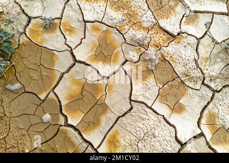 Detailansicht der gerissenen Schlammstruktur in der Wüste Nevada Stockfoto